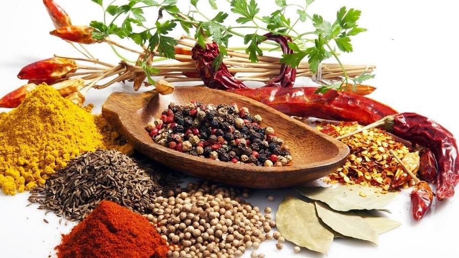 A’dan Z’ye Şifalı Bitkiler ve Özellikleri